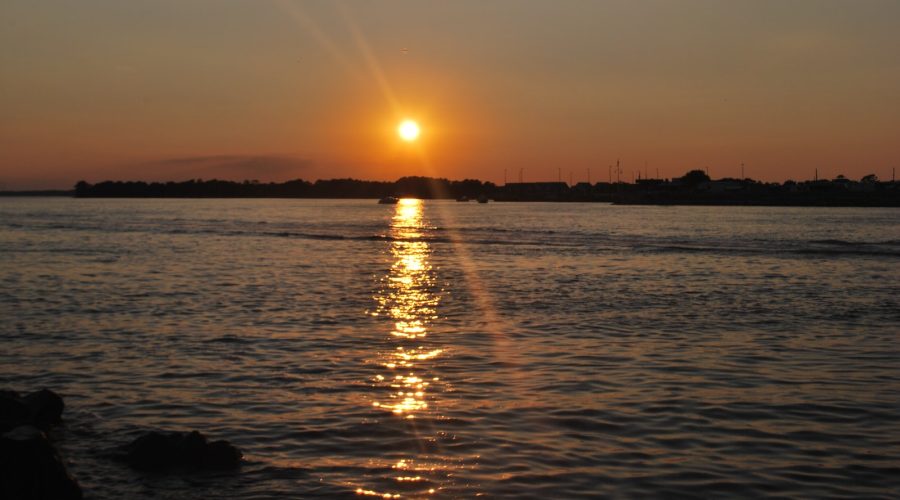 Comment Élaborer une Stratégie de Marketing pour les Réseaux de Recherche