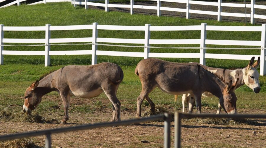 Comment tirer profit du marketing de contenu visuel sur Instagram ?